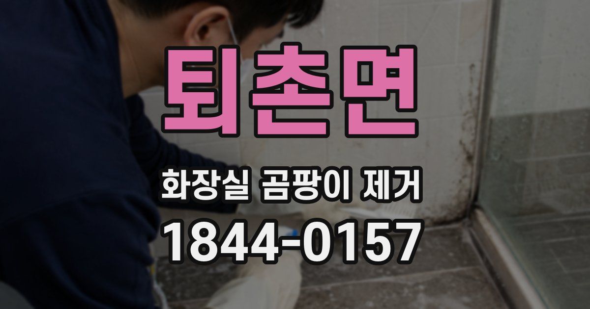 퇴촌면 화장실 곰팡이 제거