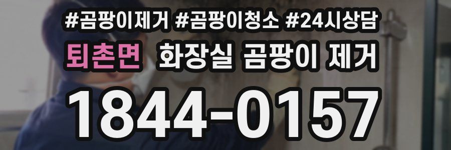 퇴촌면 화장실 곰팡이 제거