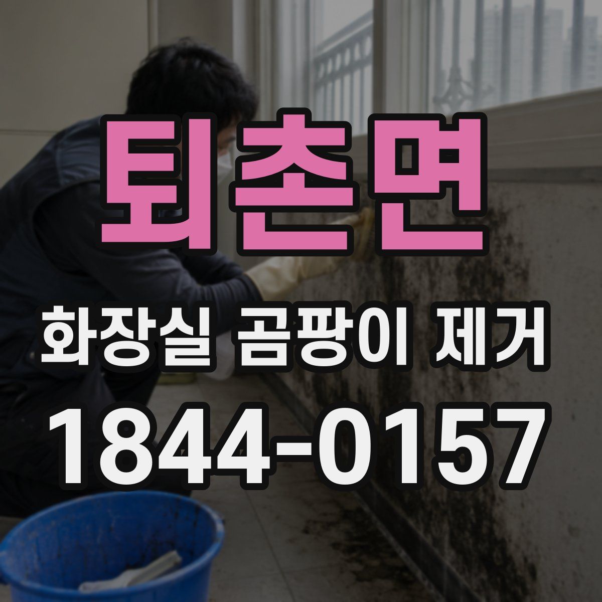 퇴촌면 화장실 곰팡이 제거