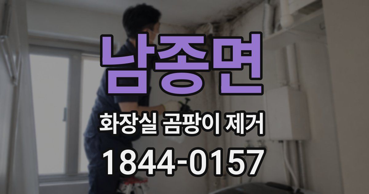 남종면 화장실 곰팡이 제거
