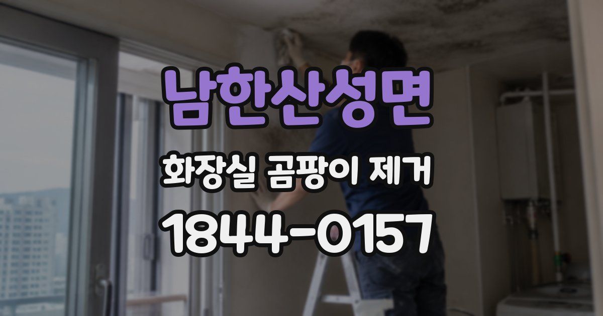 남한산성면 화장실 곰팡이 제거