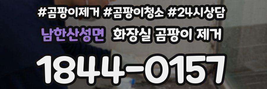 남한산성면 화장실 곰팡이 제거