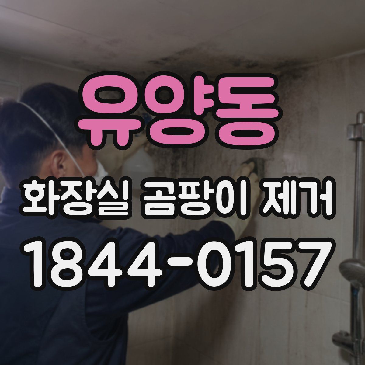 유양동 화장실 곰팡이 제거