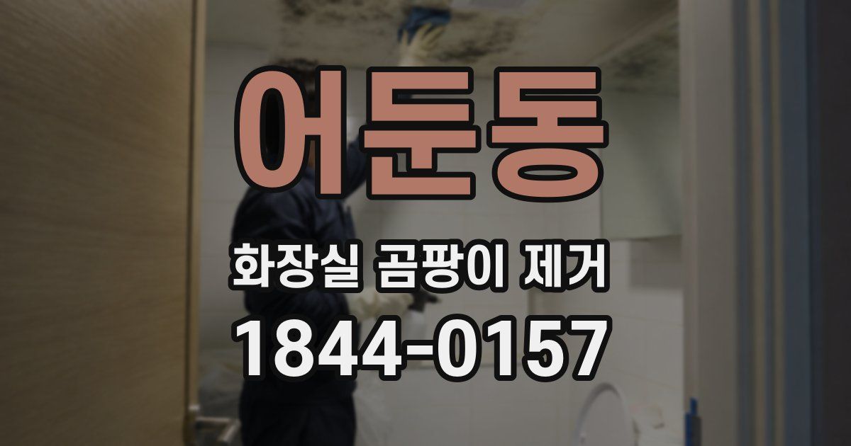 어둔동 화장실 곰팡이 제거