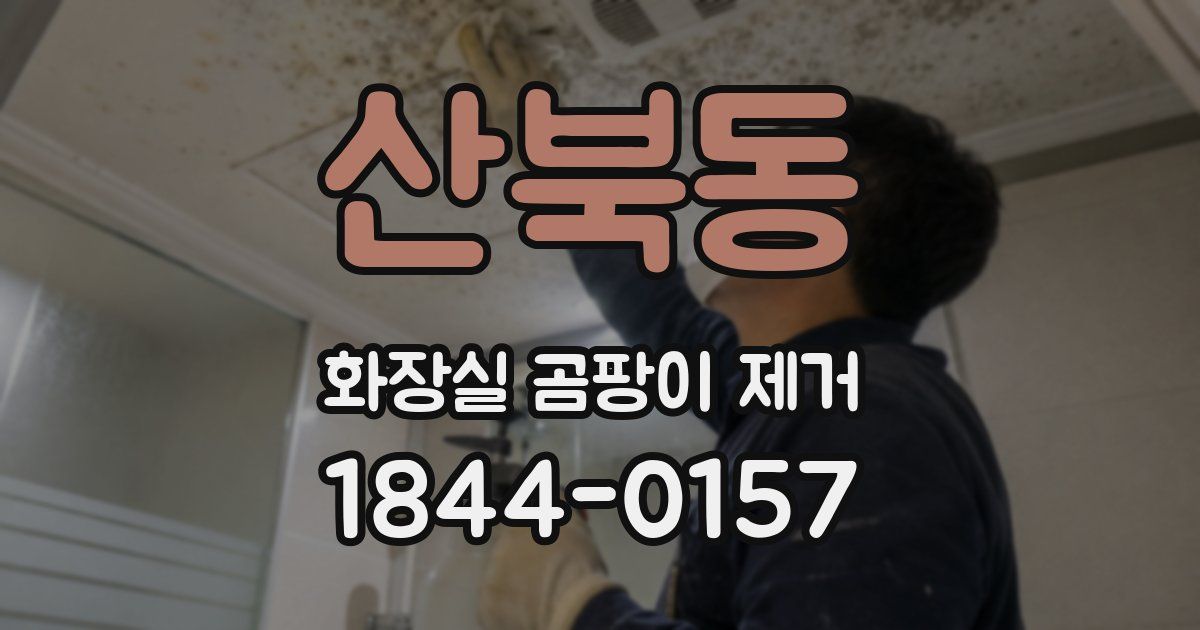 산북동 화장실 곰팡이 제거