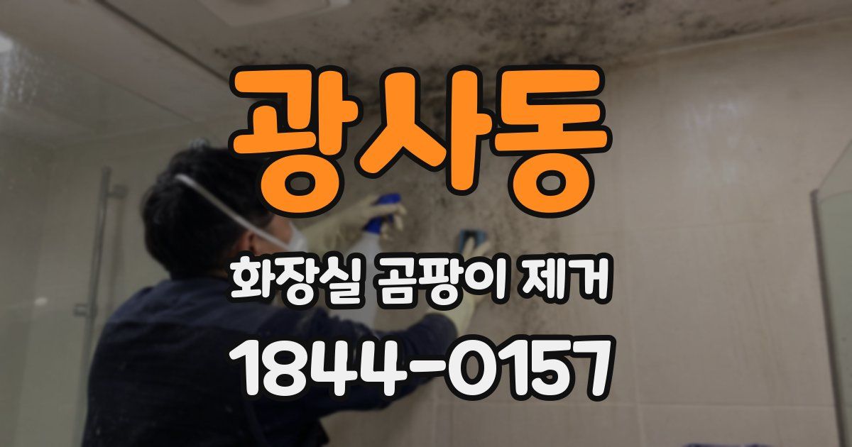 광사동 화장실 곰팡이 제거