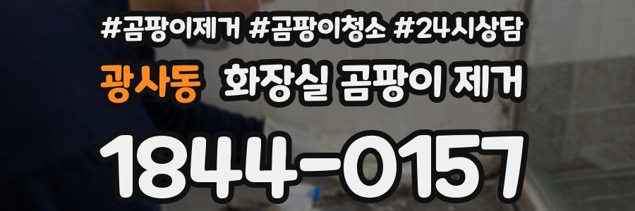 광사동 화장실 곰팡이 제거