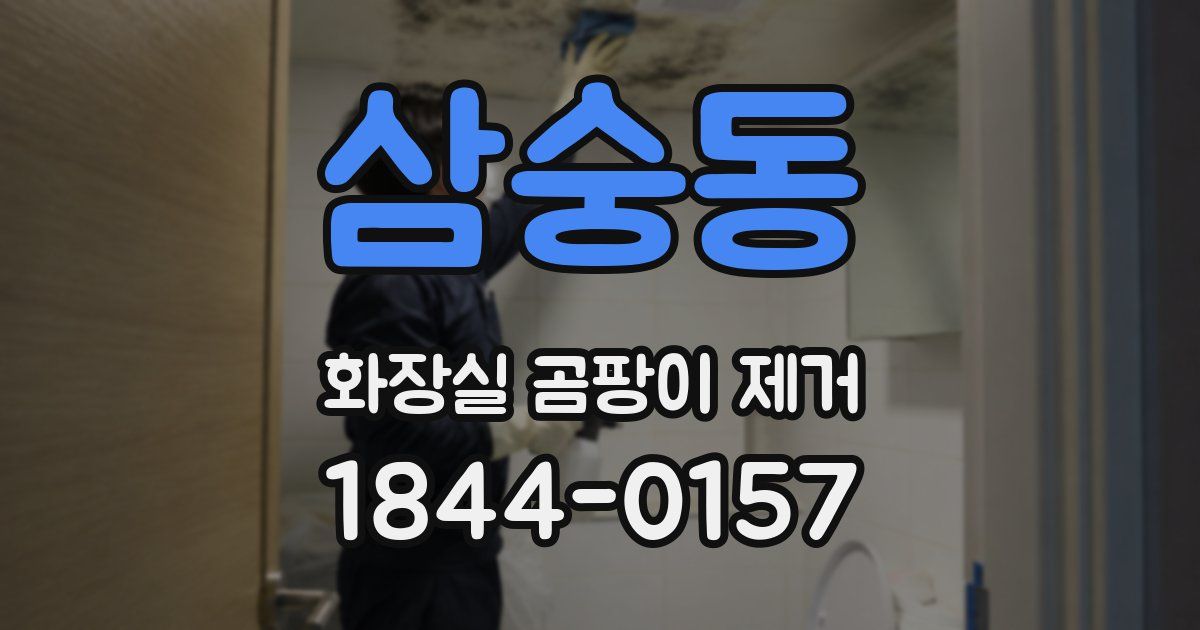 삼숭동 화장실 곰팡이 제거