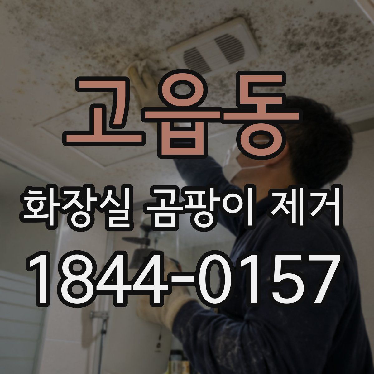 고읍동 화장실 곰팡이 제거