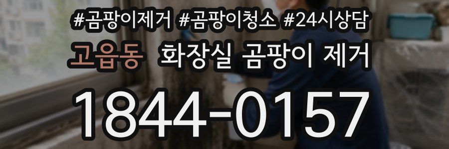 고읍동 화장실 곰팡이 제거