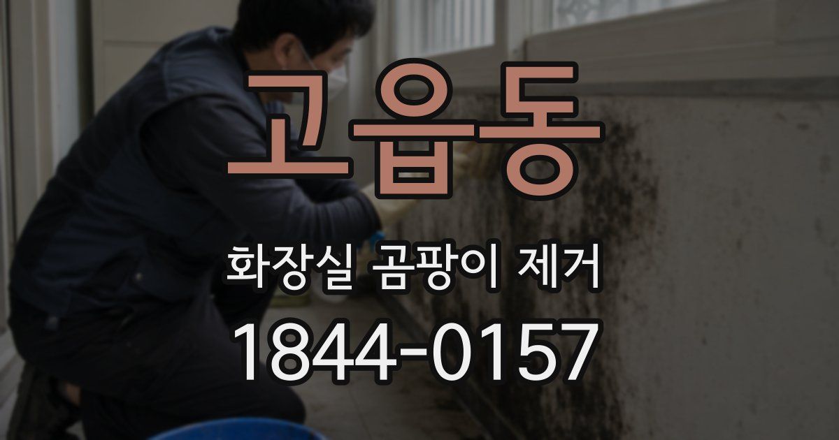 고읍동 화장실 곰팡이 제거