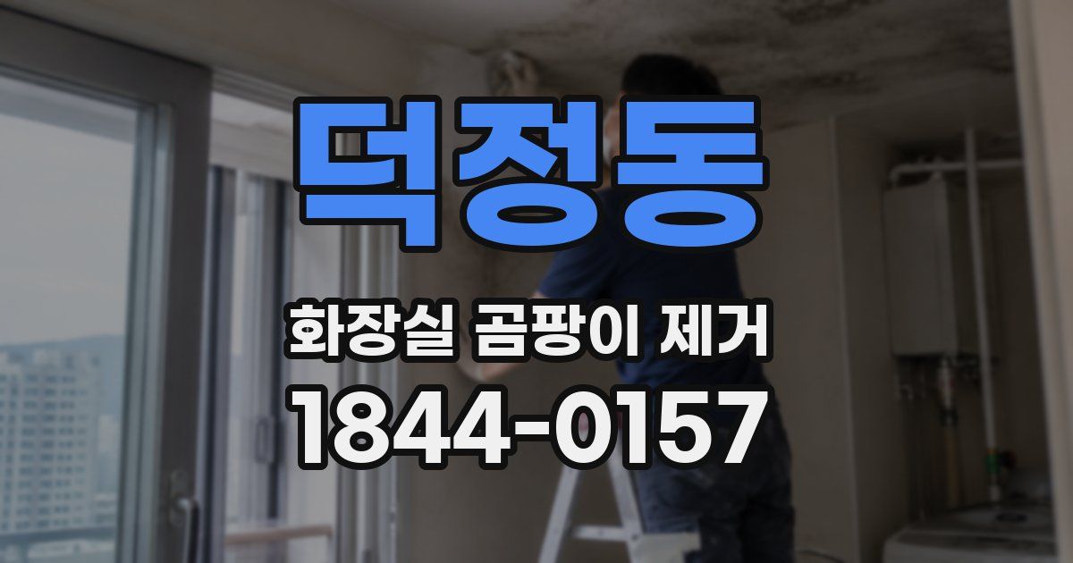 덕정동 화장실 곰팡이 제거