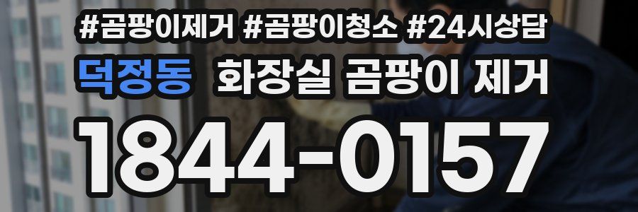 덕정동 화장실 곰팡이 제거