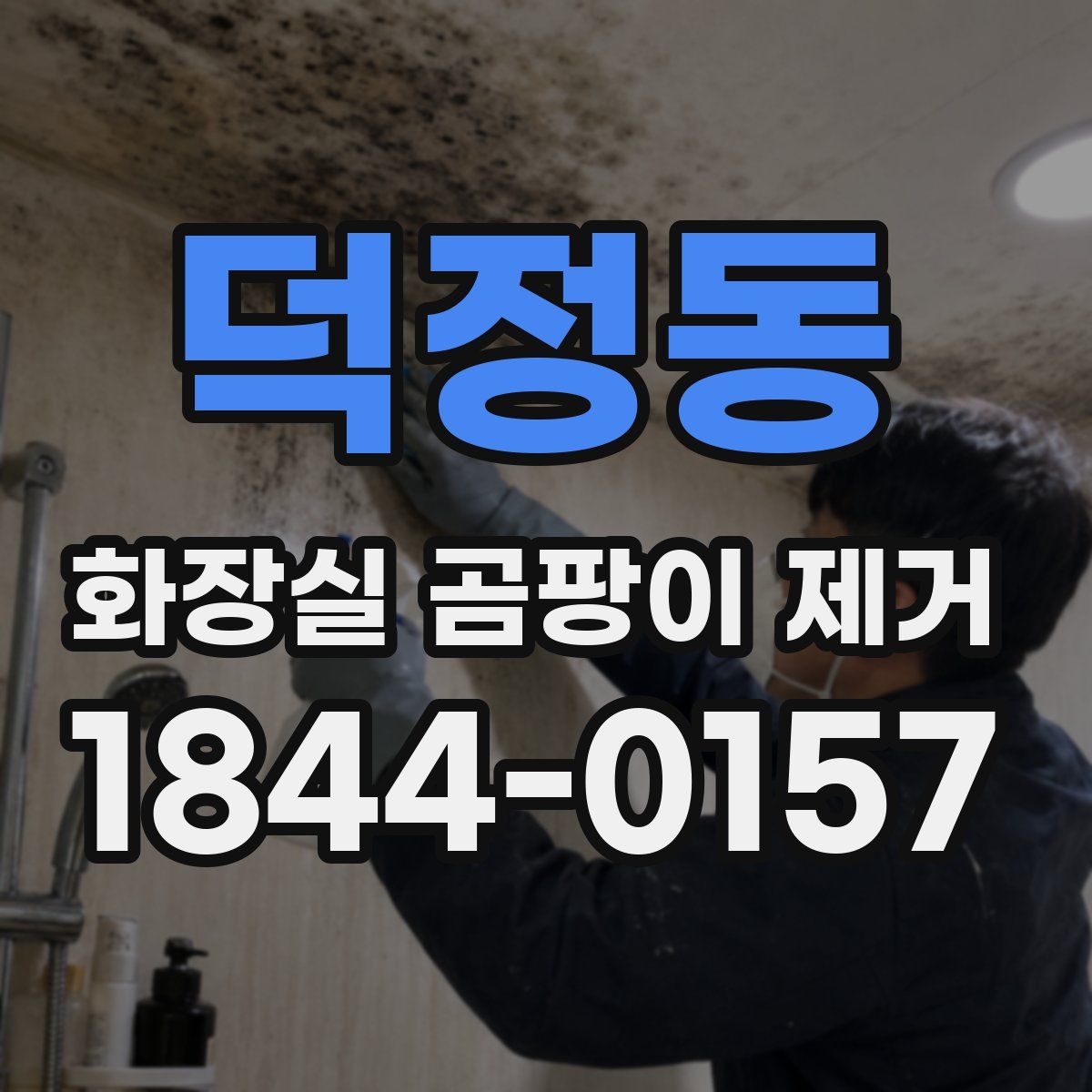 덕정동 화장실 곰팡이 제거