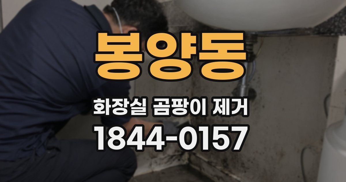 봉양동 화장실 곰팡이 제거