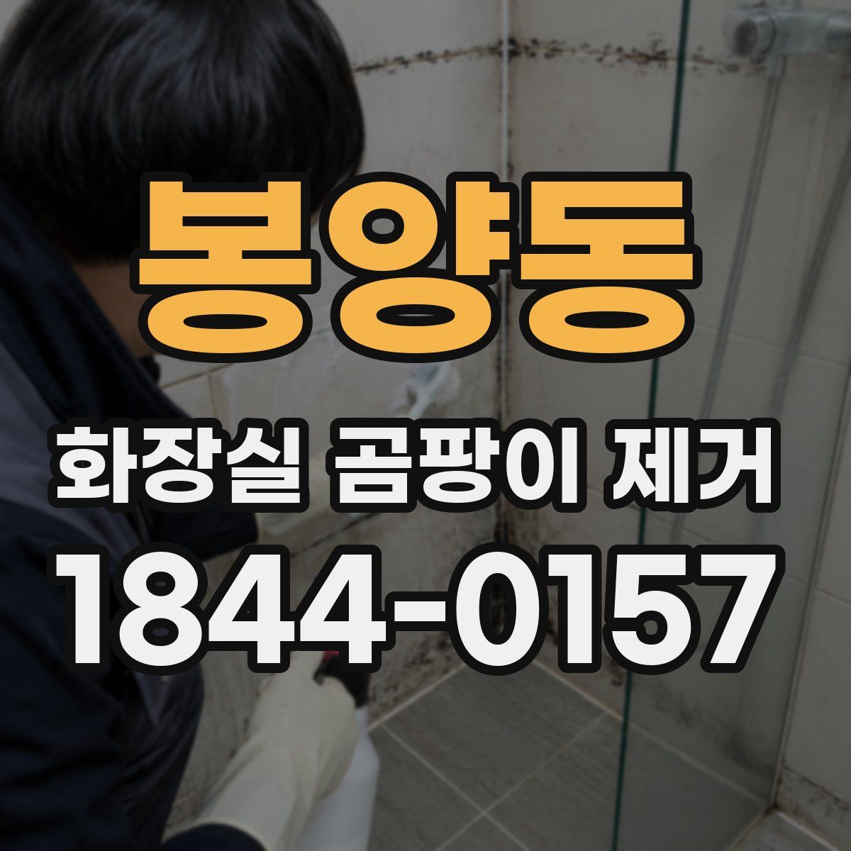 봉양동 화장실 곰팡이 제거