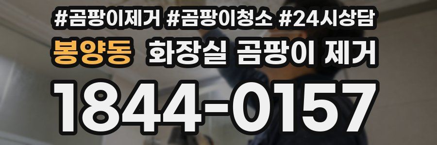 봉양동 화장실 곰팡이 제거