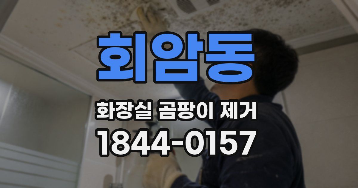 회암동 화장실 곰팡이 제거