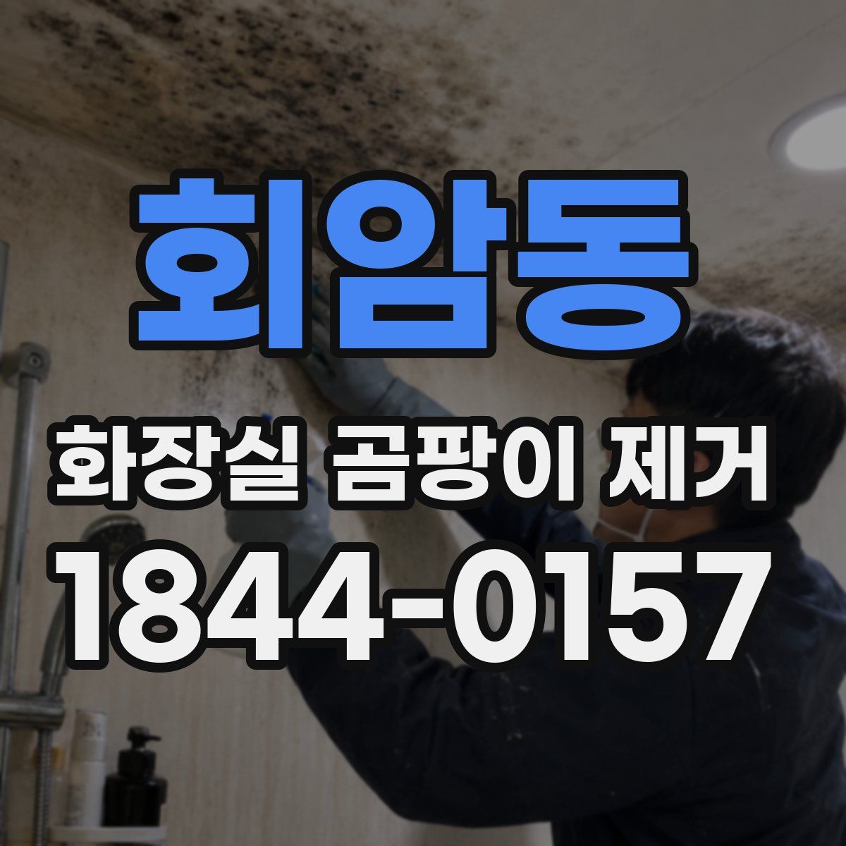 회암동 화장실 곰팡이 제거