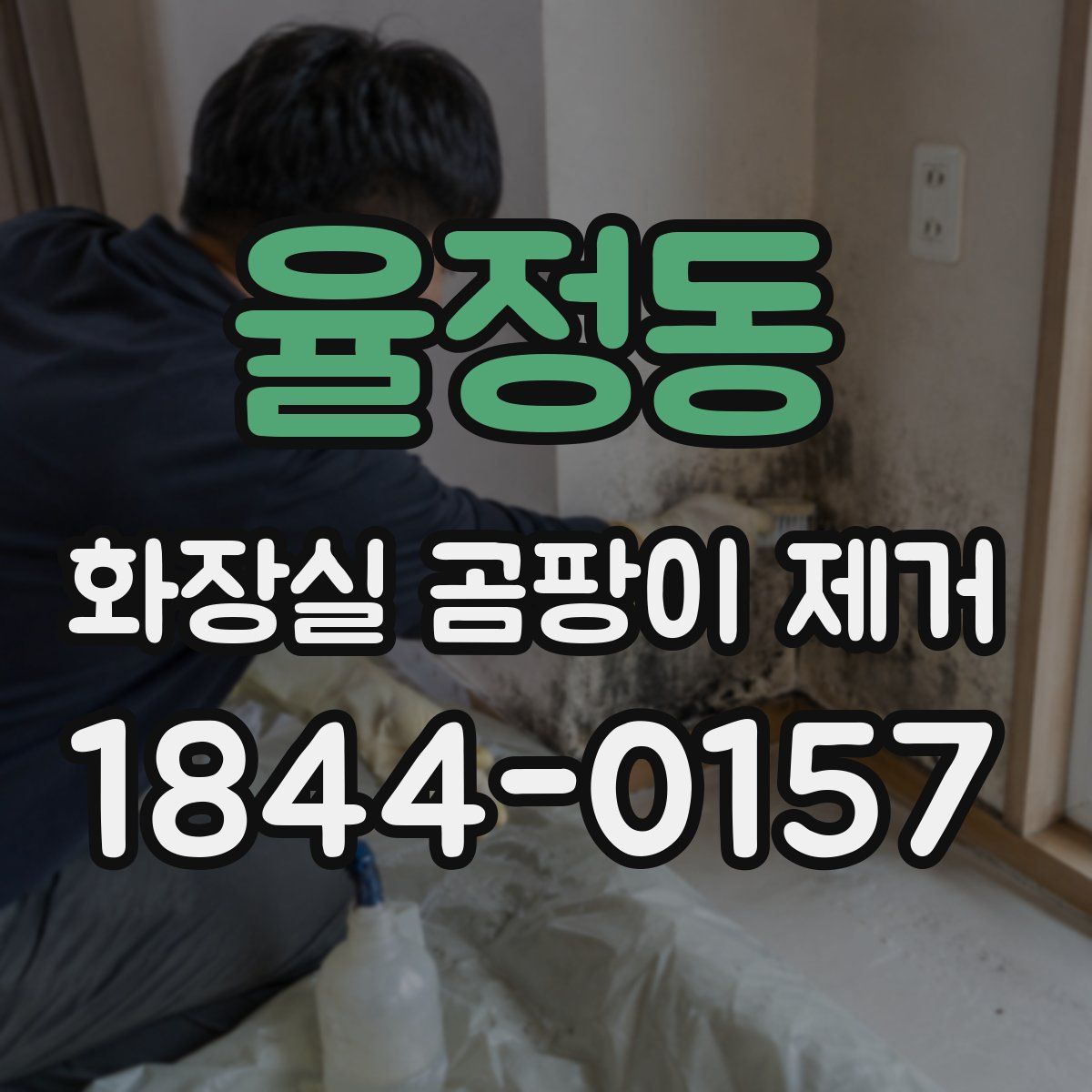 율정동 화장실 곰팡이 제거