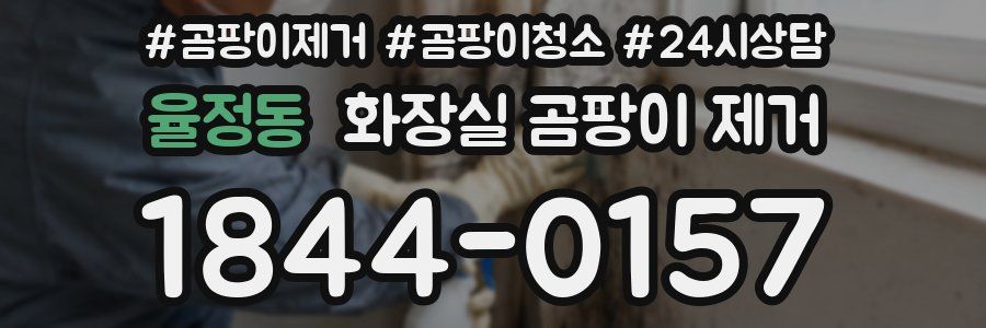 율정동 화장실 곰팡이 제거