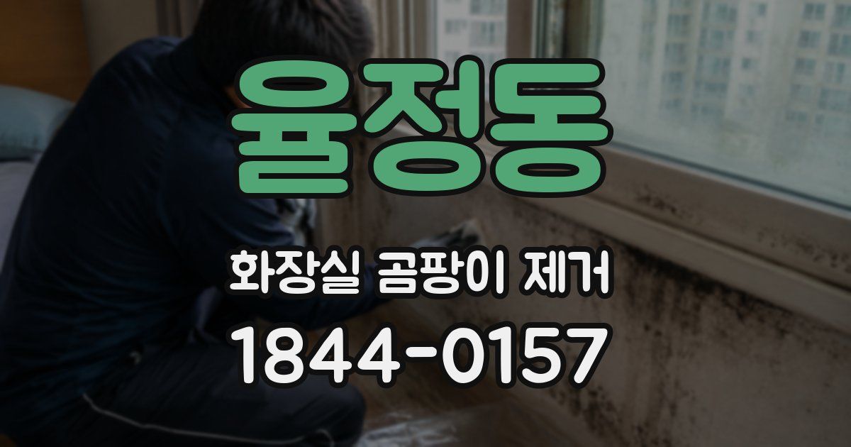 율정동 화장실 곰팡이 제거
