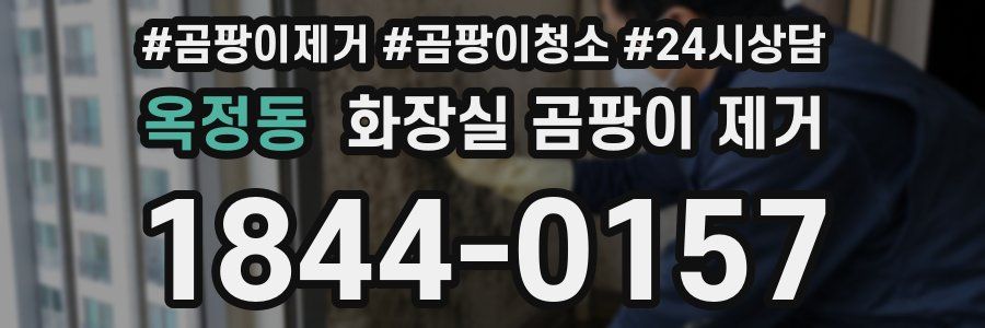 옥정동 화장실 곰팡이 제거