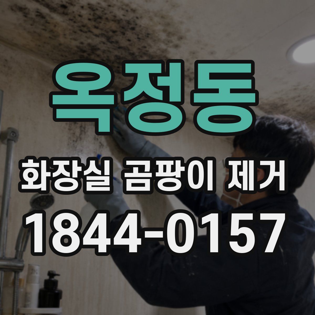 옥정동 화장실 곰팡이 제거