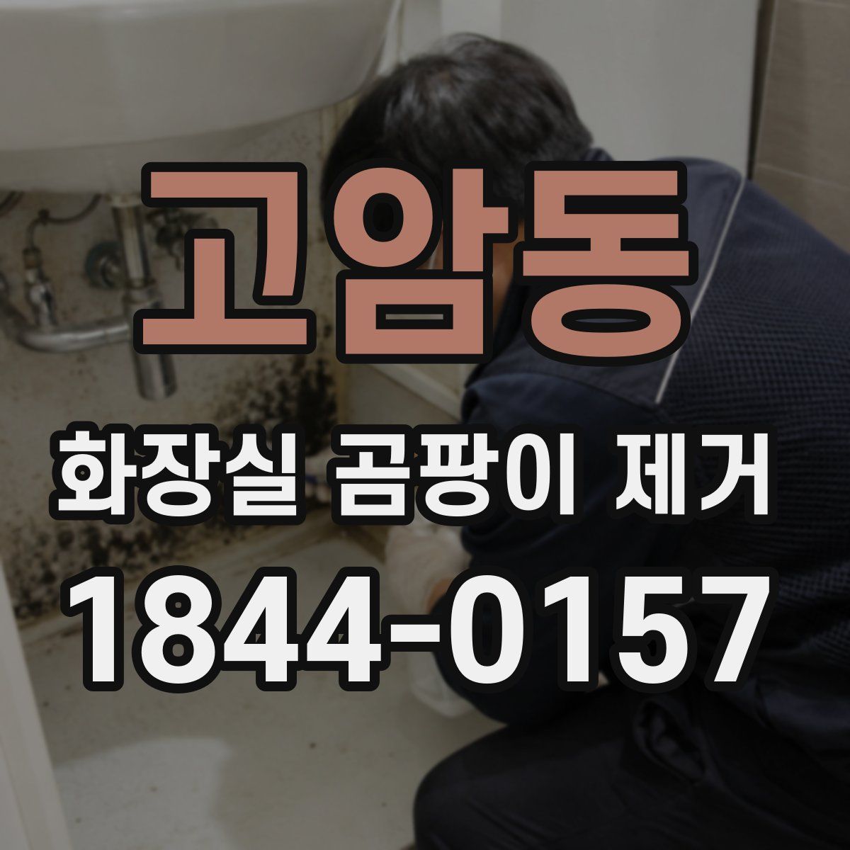 고암동 화장실 곰팡이 제거