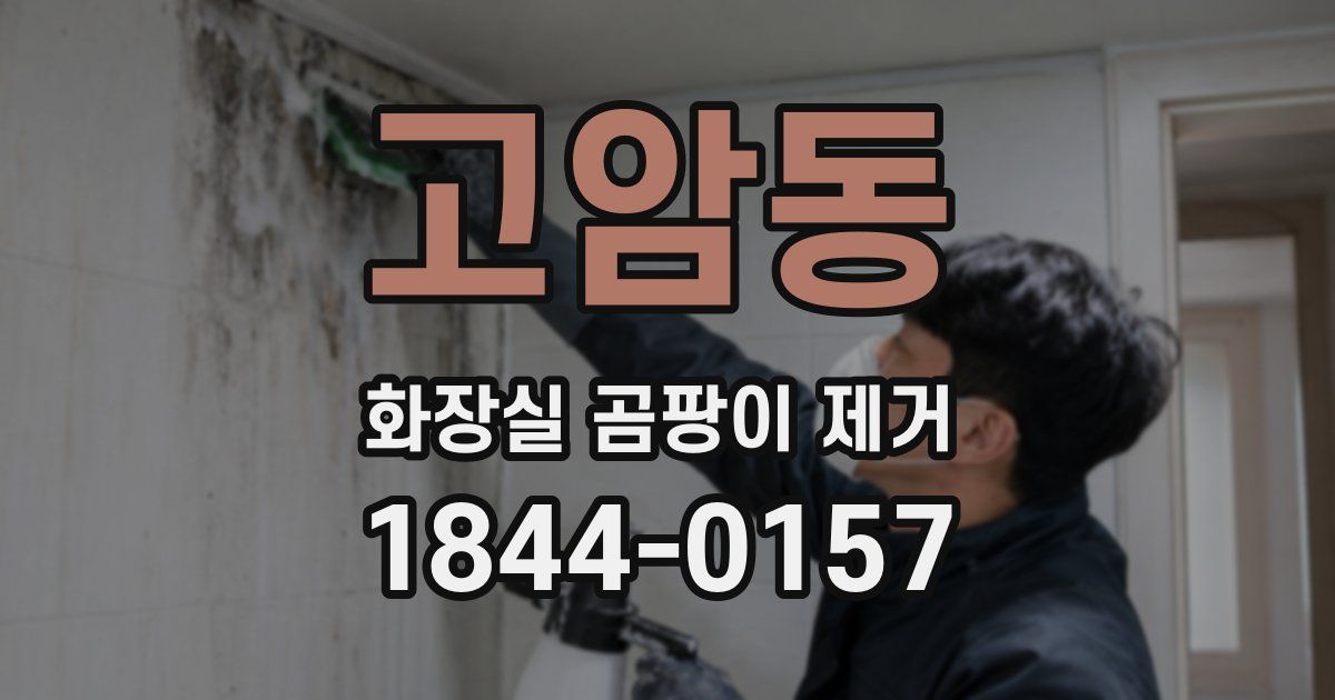 고암동 화장실 곰팡이 제거