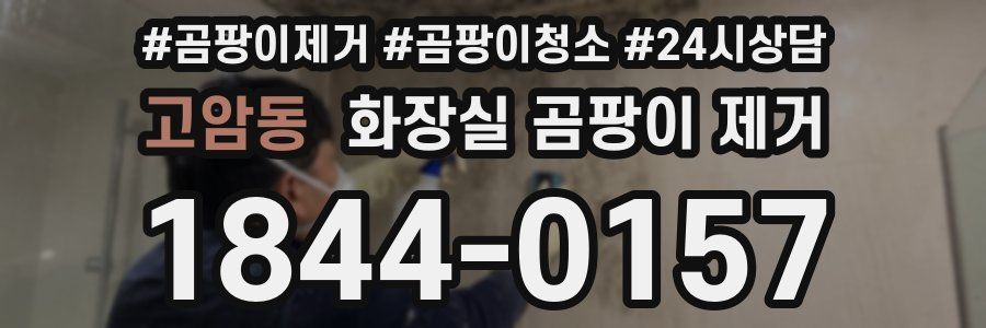 고암동 화장실 곰팡이 제거