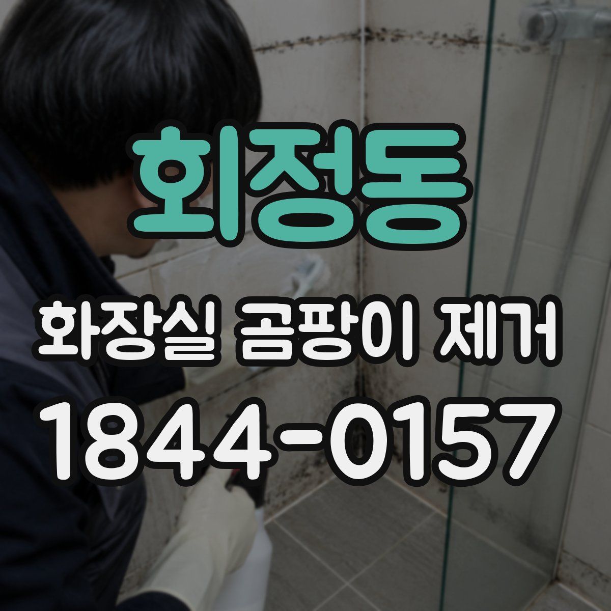 회정동 화장실 곰팡이 제거