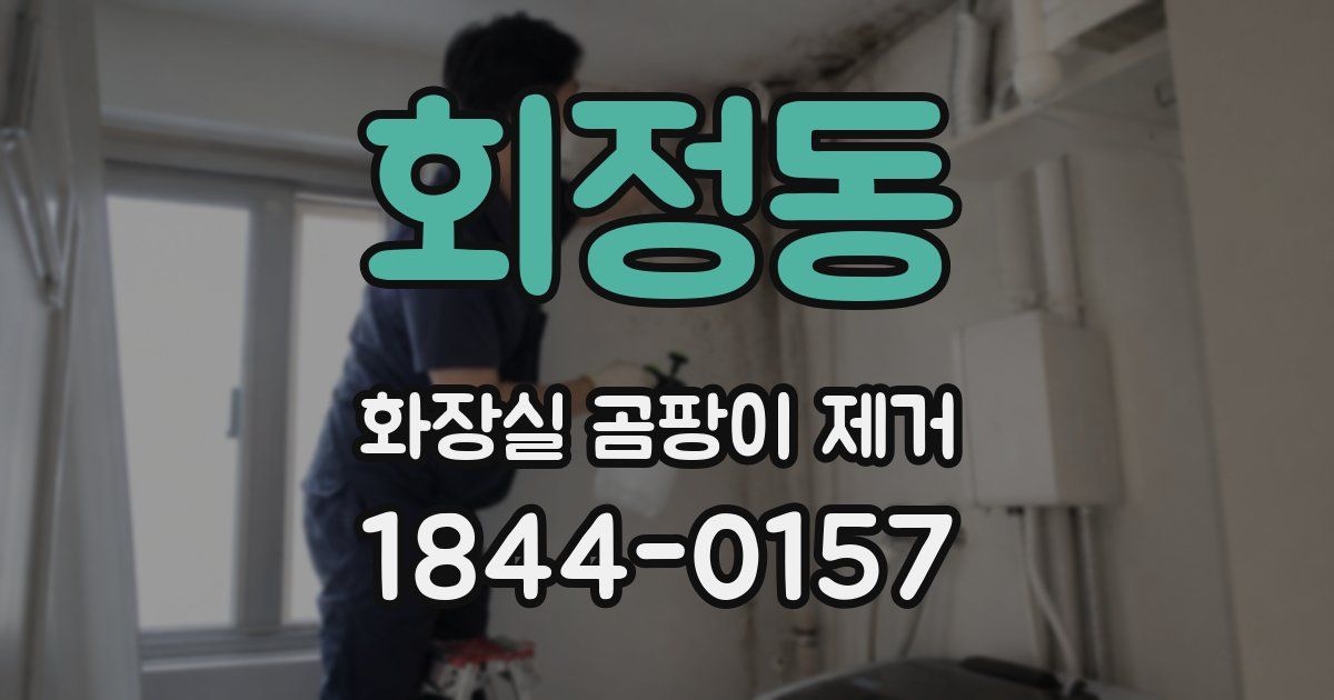 회정동 화장실 곰팡이 제거