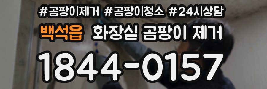 백석읍 화장실 곰팡이 제거