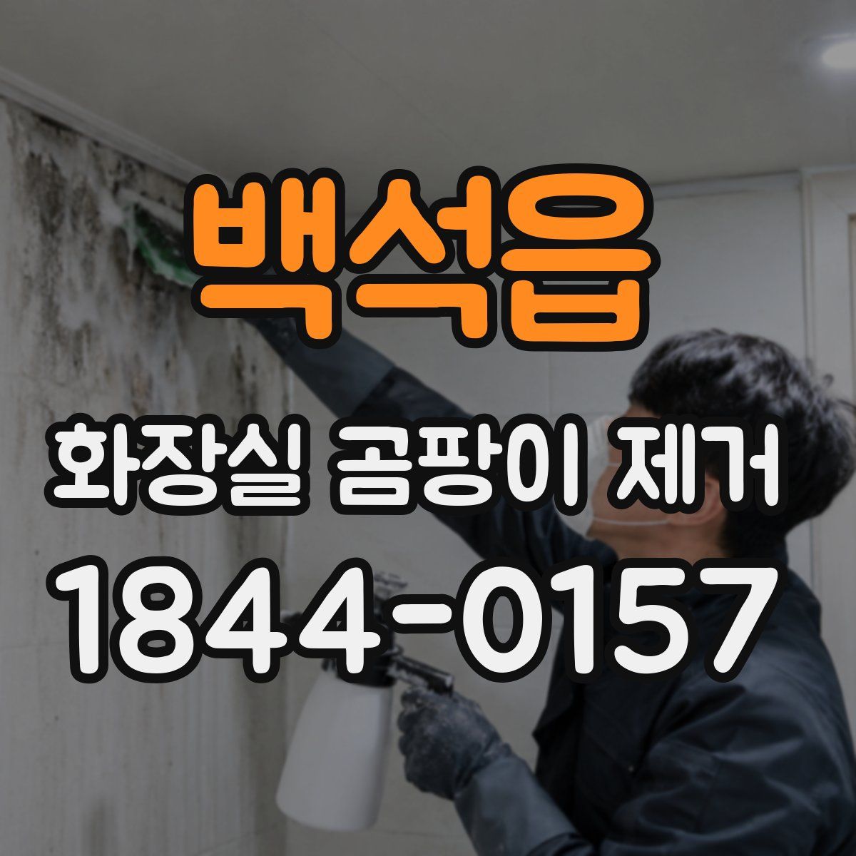백석읍 화장실 곰팡이 제거