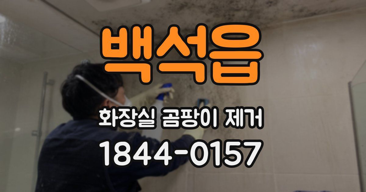 백석읍 화장실 곰팡이 제거