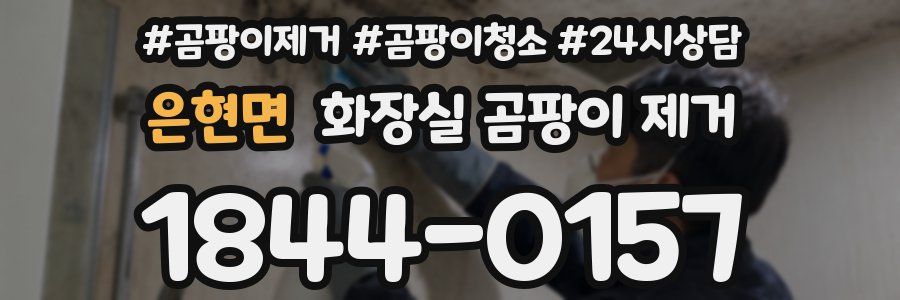 은현면 화장실 곰팡이 제거