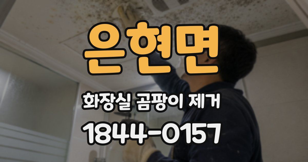은현면 화장실 곰팡이 제거