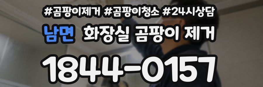 남면 화장실 곰팡이 제거