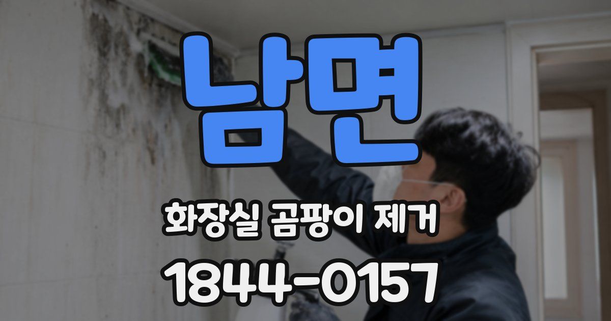 남면 화장실 곰팡이 제거