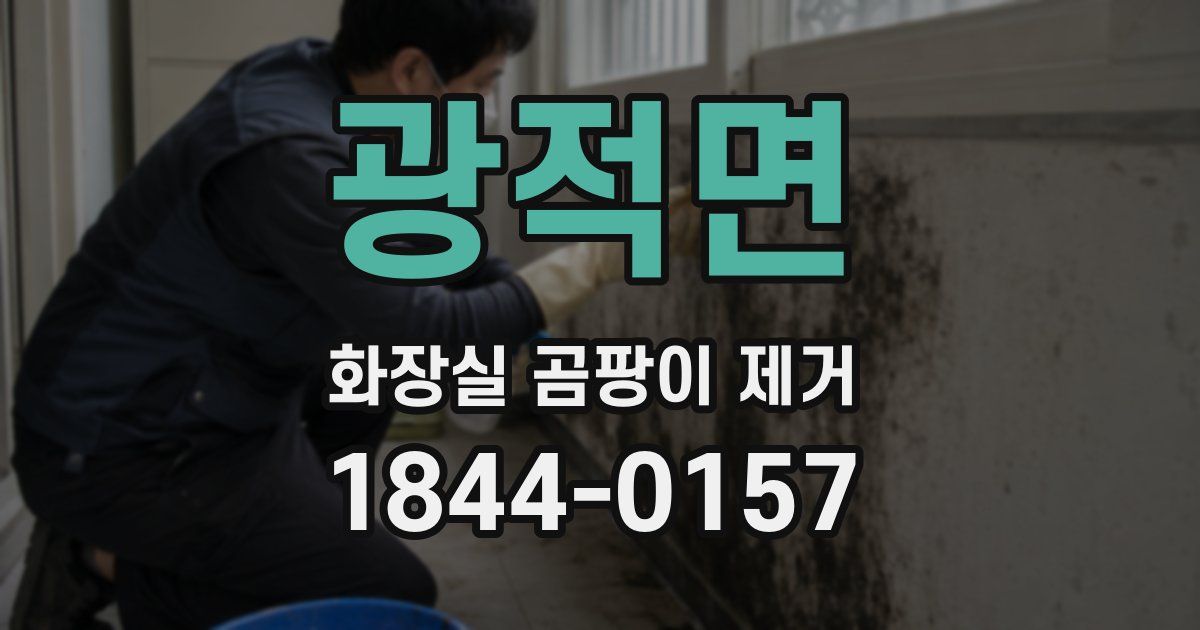 광적면 화장실 곰팡이 제거