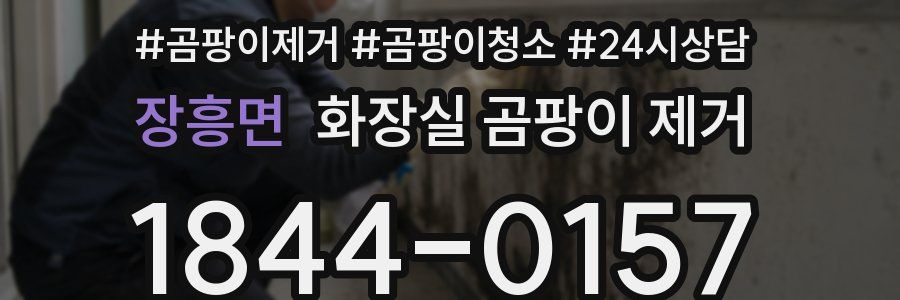 장흥면 화장실 곰팡이 제거
