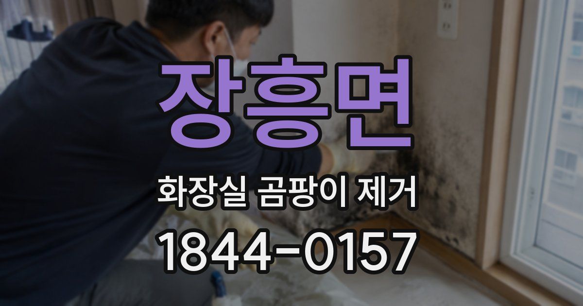 장흥면 화장실 곰팡이 제거