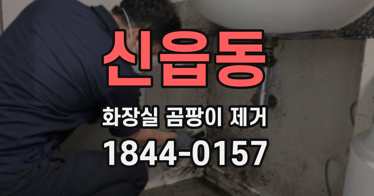 신읍동 화장실 곰팡이 제거