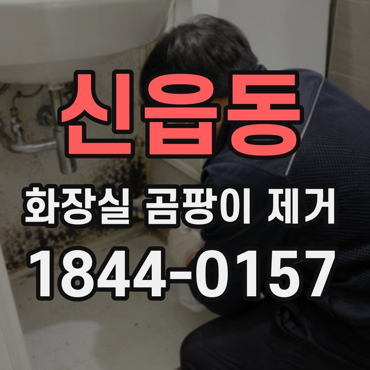 신읍동 화장실 곰팡이 제거