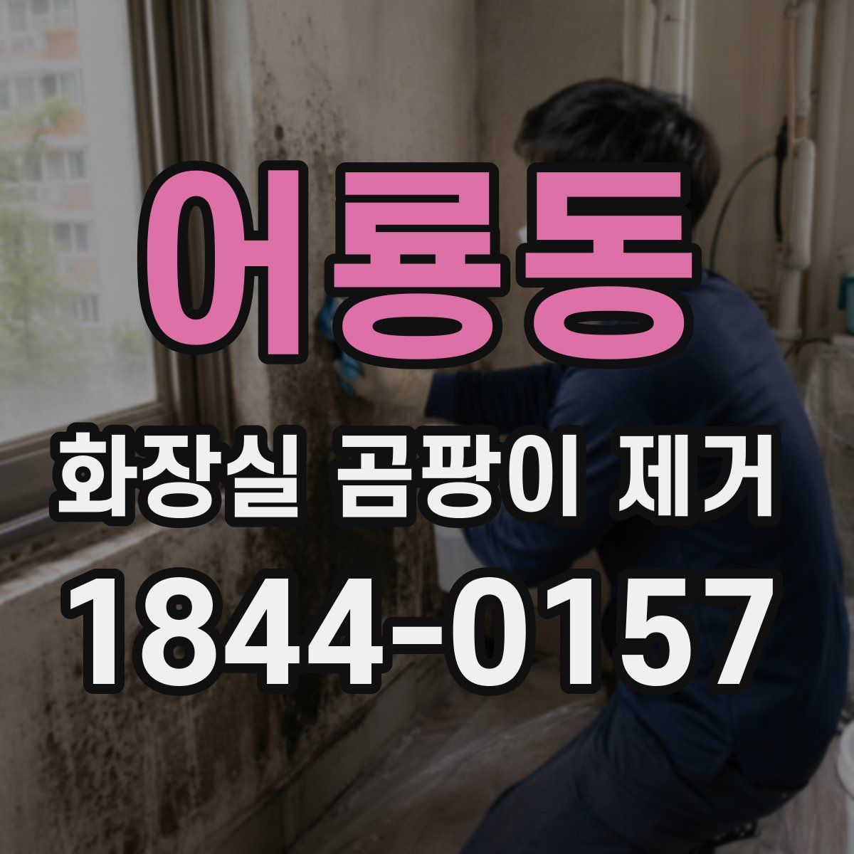 어룡동 화장실 곰팡이 제거