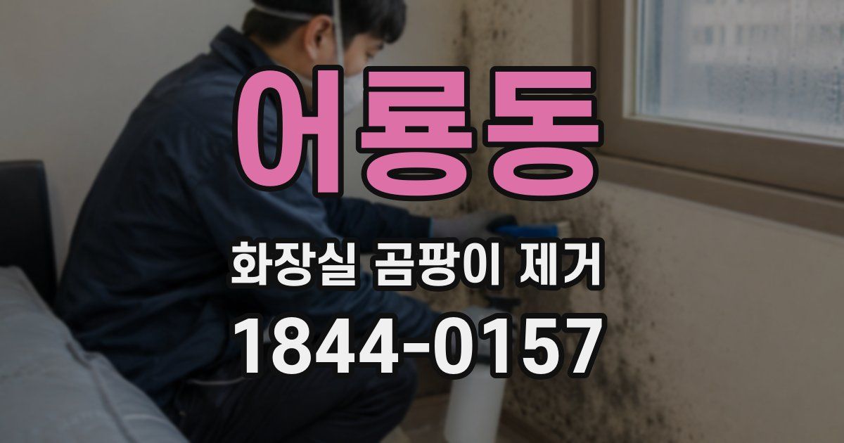 어룡동 화장실 곰팡이 제거