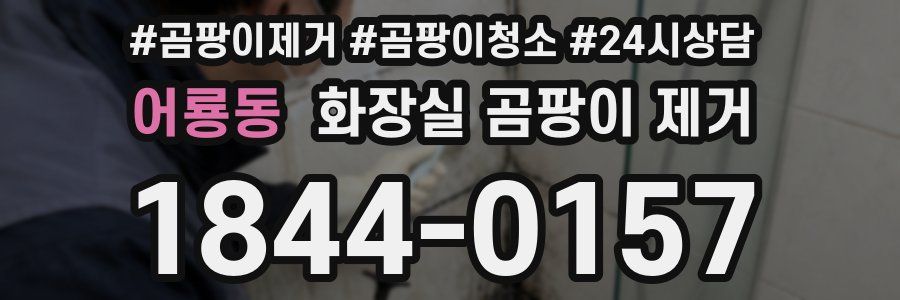 어룡동 화장실 곰팡이 제거