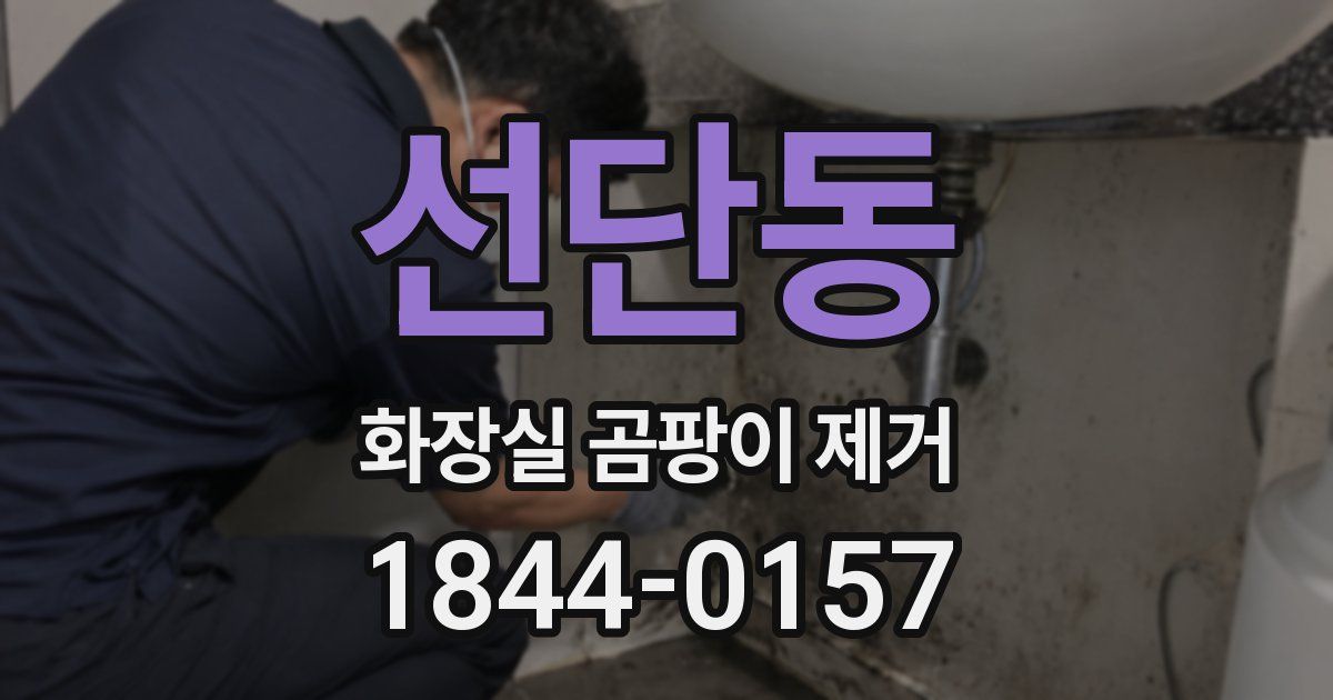 선단동 화장실 곰팡이 제거