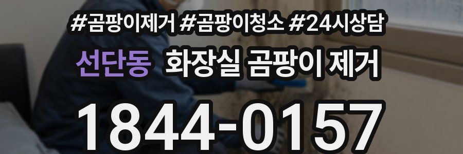 선단동 화장실 곰팡이 제거